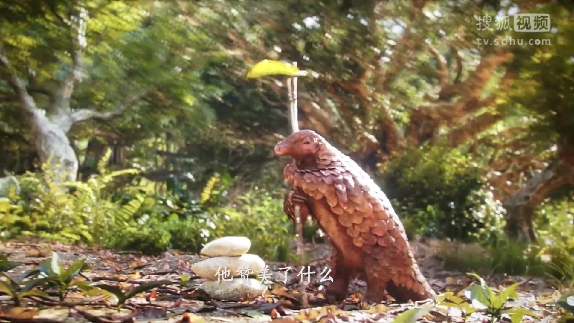 BOSS李拆电影之奇幻森林