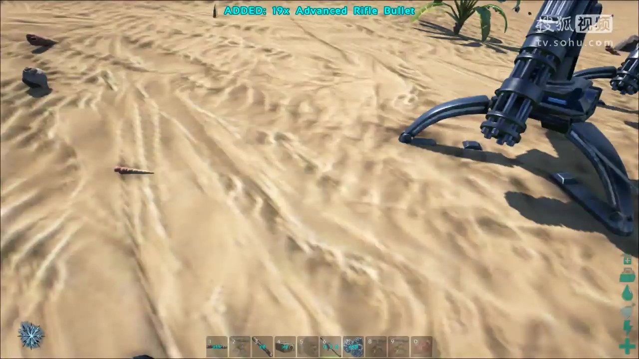 《老旅方舟生存进化我的恐龙大世界》--综艺节