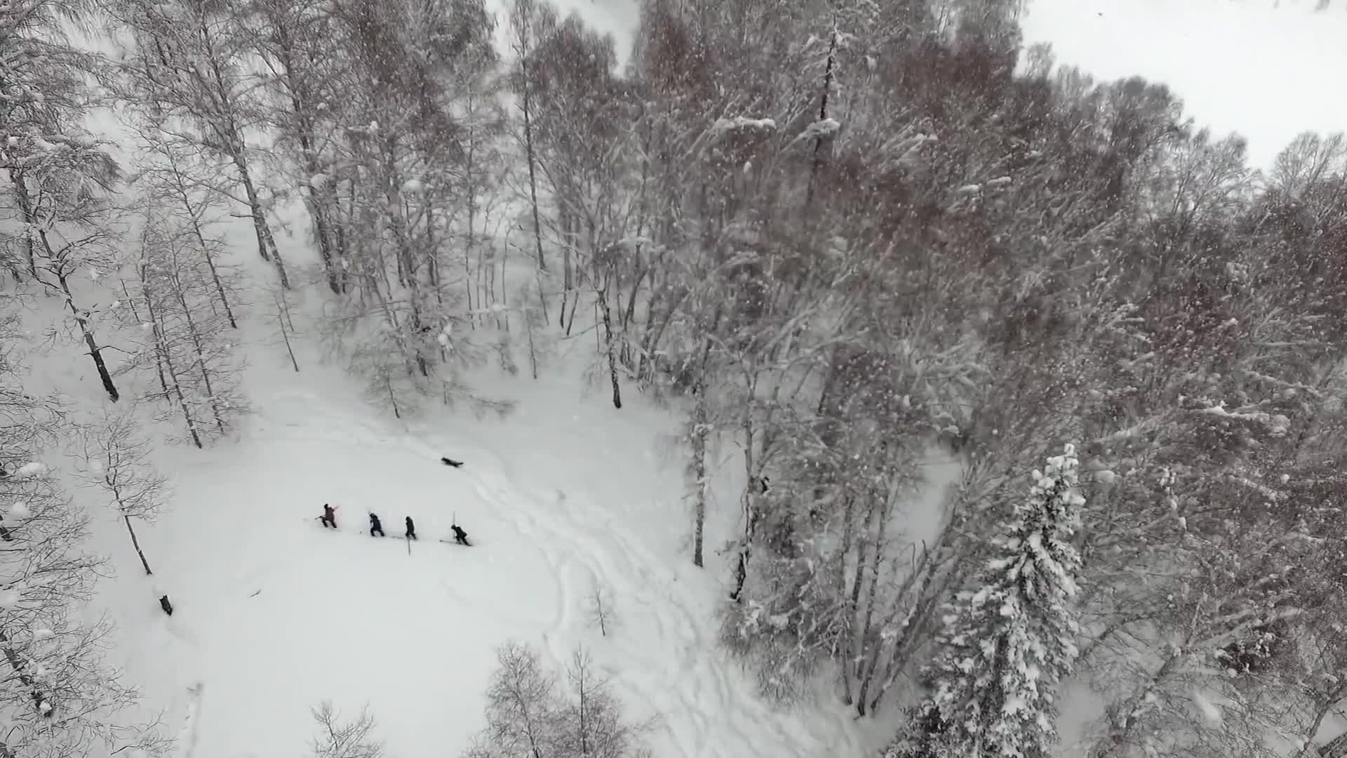 《阿勒泰野雪行記》Altay Ski Adventure  預告片