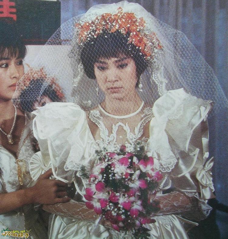 《海鸥飞处彩云飞》全集-电视剧