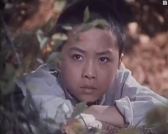 赛虎