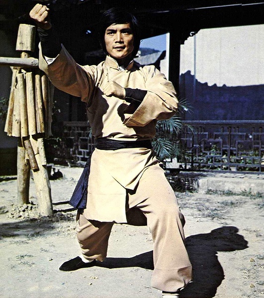 《南拳北腿斗金狐》全集-高清电影完整版