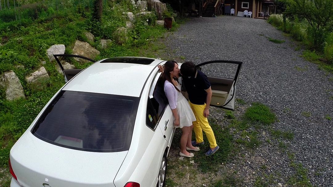 玫瑰汽车旅馆3:彷徨