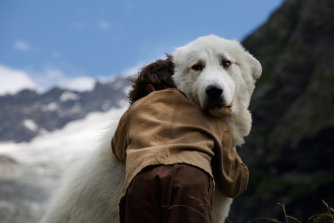 灵犬雪莉冒险再出发