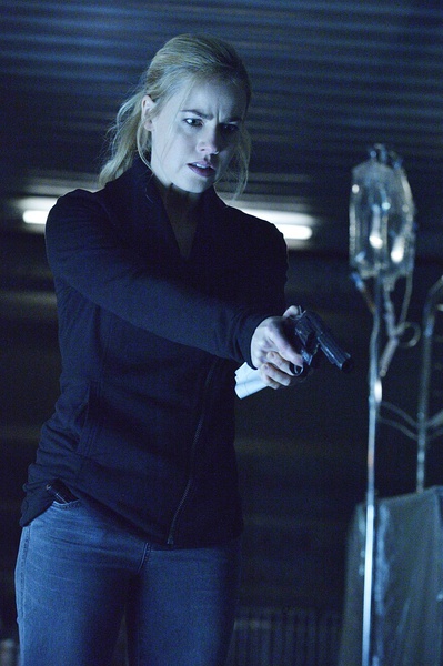 《12只猴子 第一季》全集-电视剧-在线观看-搜