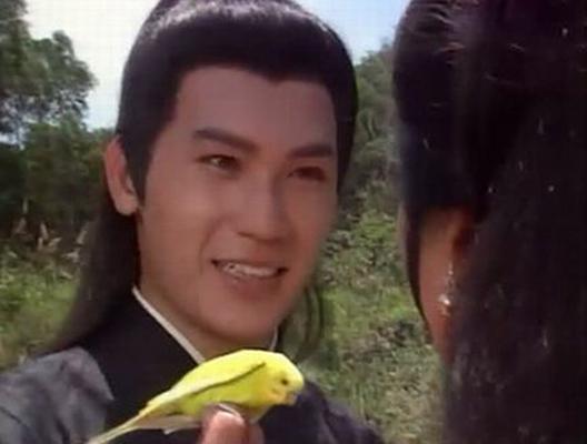 碧血青天杨家将