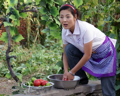 女人的村庄