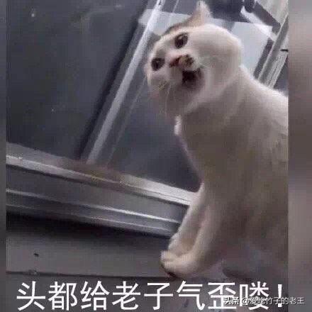 美籍华人“可怜中国”称美国最低工资吃得起水果