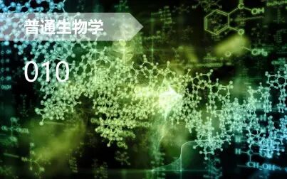 [图]【普通生物学】010 生物大分子及其形成与分解