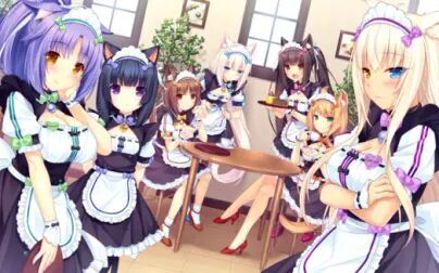 [图]NOKOPARA.VOL4