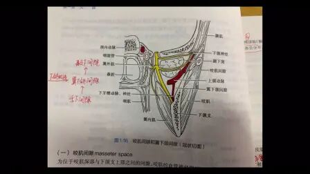 [图]局解图谱