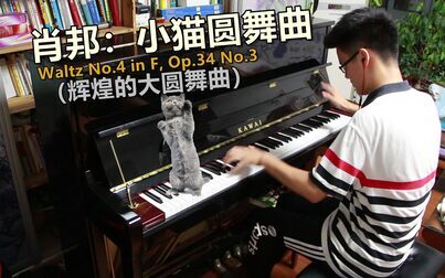 [图]【钢琴】10级曲目:小猫圆舞曲(辉煌的大圆舞曲)Waltz No.4 in F, ...