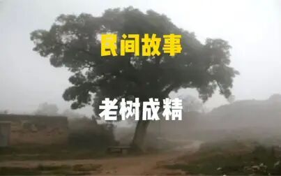 [图]民间故事:老树成精