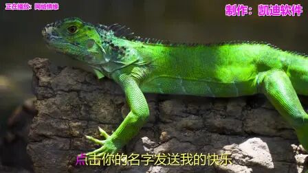 [图]经典老歌在线听歌曲《网络情缘》