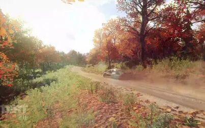 [图]DiRT Rally 2.0