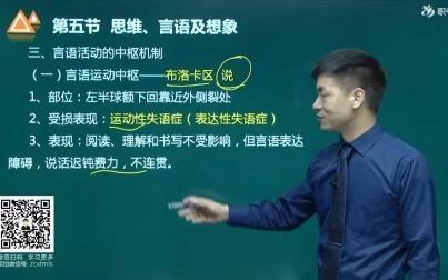 [图]心理咨询师《基础知识》考点强化班_14