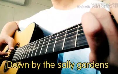 [图]吉他指弹 Down by the sally gardens 爱尔兰画眉 令人陶醉的神曲