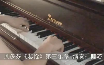 [图]【钢琴】贝多芬《悲怆》第三乐章 V3