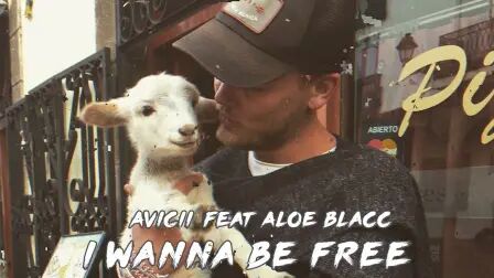 [图]Avicii-I Wanna Be Free (feat. Aloe Blacc)【未发布的泄露曲】