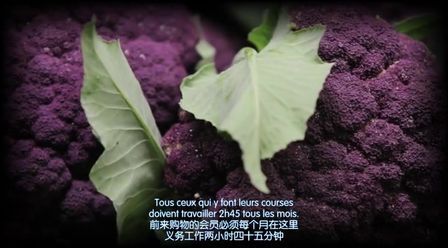 [图]《食品合作社 / Food Coop》