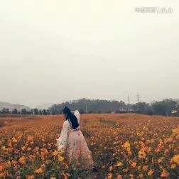 [图]即兴古风舞《陌上花早》