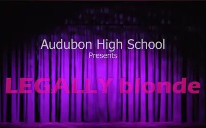 [图]律政俏佳人音乐剧 Legally Blonde Full Musical -Audubon High