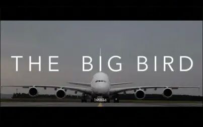 [图]法航A380 The Big Bird 大鸟