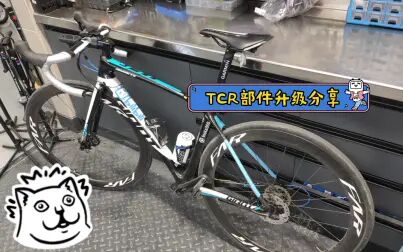 [图]【TCR升级改装分享】到2021.1.29 Giant TCR ADV 2 DISC 碟刹