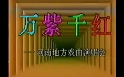 [图]1991年万紫千红演唱会 名家云集