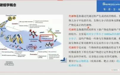 [图]【代谢组】【数据库】代谢组学常用数据库及注释方法