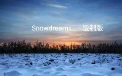 [图]Snowdreams饭制版