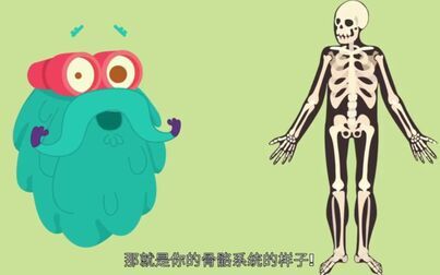 [图]【科普】人体骨骼 Bones - The Dr. Binocs Show - Learn Videos For Kids