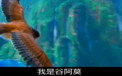 [图]【谷阿莫】5分钟看完2017没有爱情的动画电影《海洋奇缘 Moana》