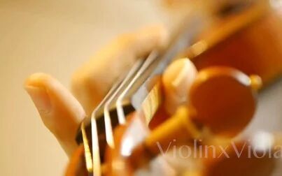[图]【小提琴】进击的巨人 Call of Silence丨ViolinxViola