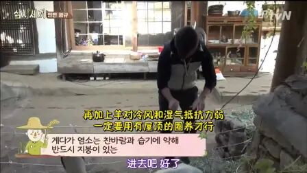 [图]三时三餐 渔村篇E03.141031