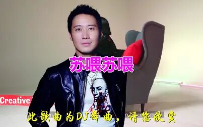 [图]《苏喂苏喂(DJ散人版)》歌曲旋律动听优美,歌词有诗情画意