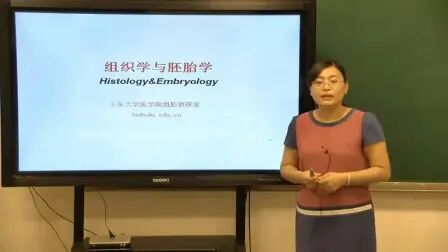 [图]组织学与胚胎学 01.第一章组织学绪论