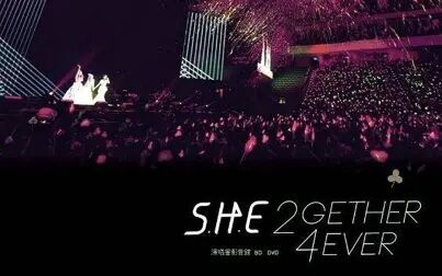 [图]S.H.E 2GETHER 4EVER 世界巡回演唱会台北旗舰场 蓝光 1080p