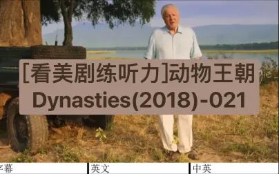 [图][看美剧练听力]动物王朝Dynasties(2018)-021