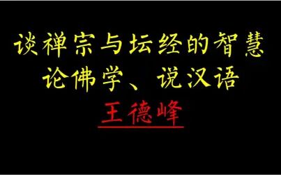 [图]【王德峰演讲】“哲学王子”谈禅宗与坛经的智慧、论佛学、论汉语