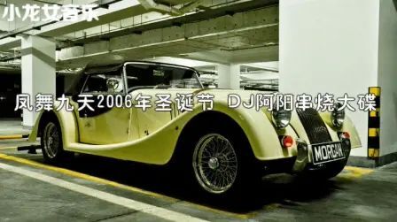 [图]凤舞九天2006年圣诞节 DJ阿阳串烧大碟