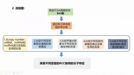 [图]多组学文献精读08 | TCGA肾细胞癌的综合分子特征