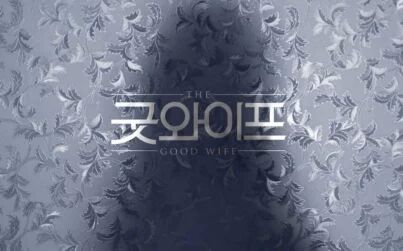 [图]The Good Wife 片头