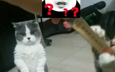 item.title