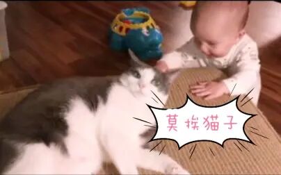 [图]【人类幼崽&猫主子】