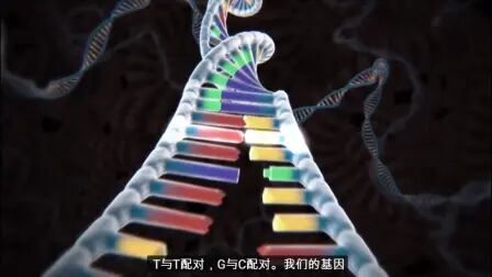 [图]用CRISPR-Cas9进行基因组编辑