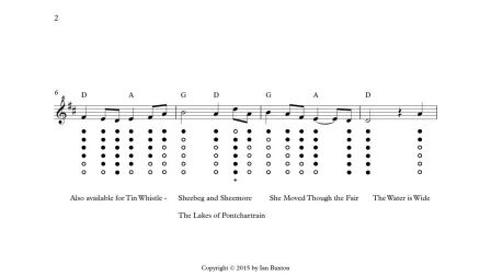 [图]爱尔兰哨笛-Down By The Sally Gardens (slow version)教学 by Ian Buxton