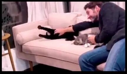 [图]Tom Ellis being a crazy cat dad for 9 minutes and 8 seconds