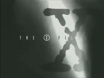 [图]The X Files