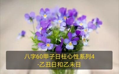 [图]八字60甲子日柱心性系列4-乙丑日和乙未日